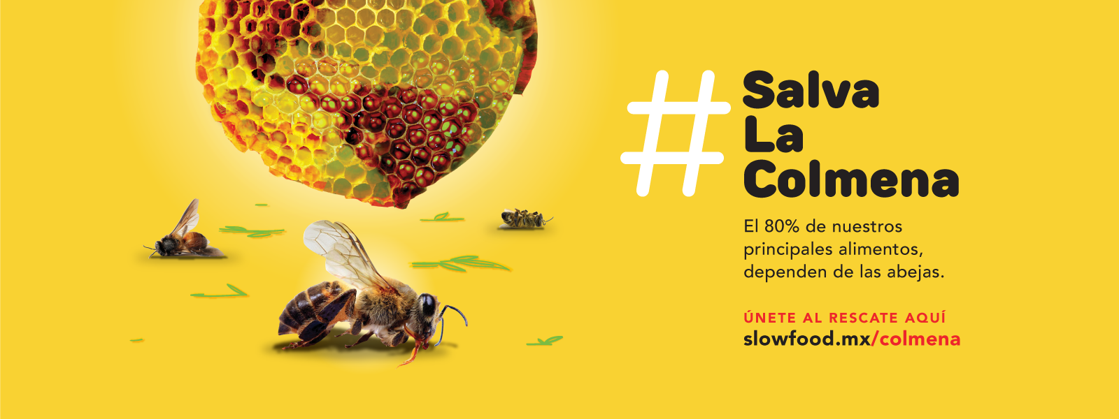 Campaña Colmena